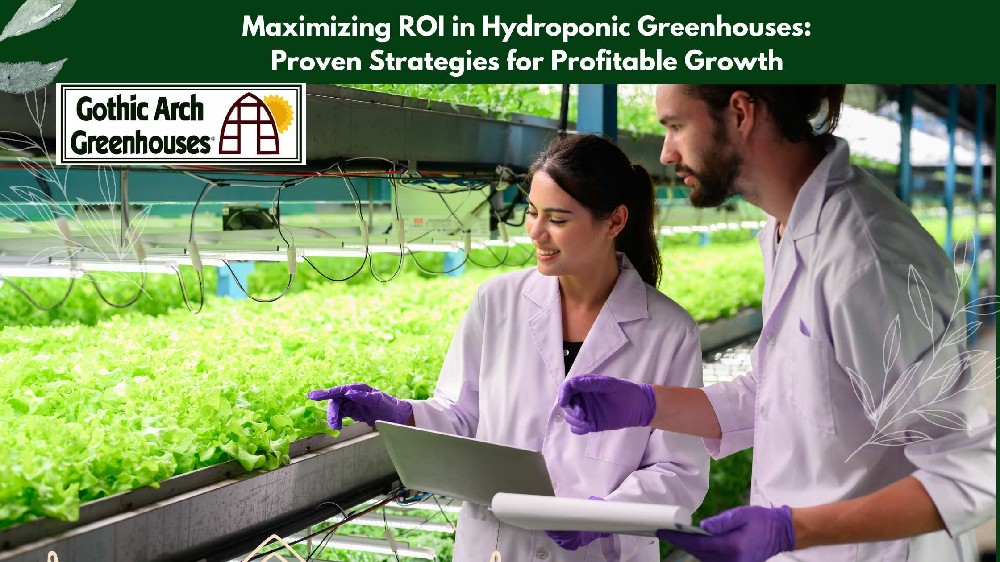 high-tech hydroponic greenhouse